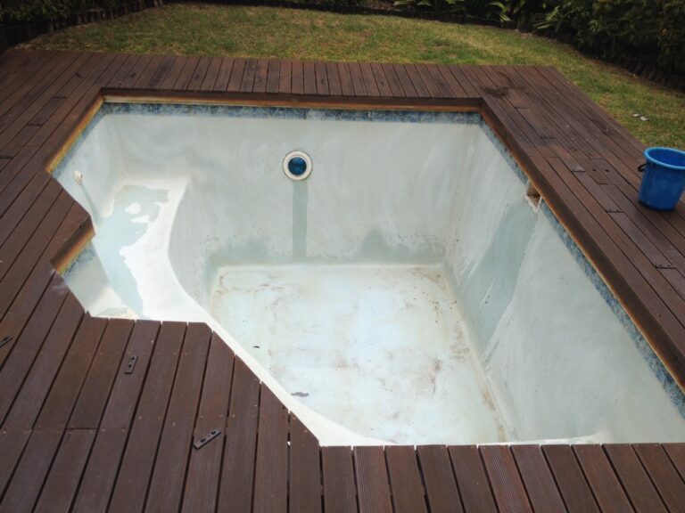 31 watsonia before 768x576